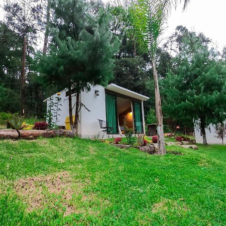Romanticas Cabanas En Bosque Acaxochitlán Kültér fotó