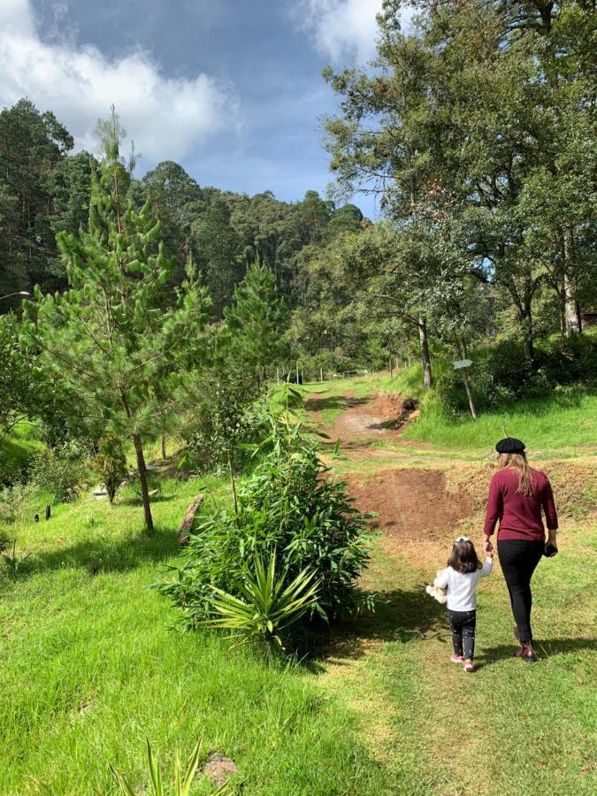 Romanticas Cabanas En Bosque Acaxochitlán Kültér fotó