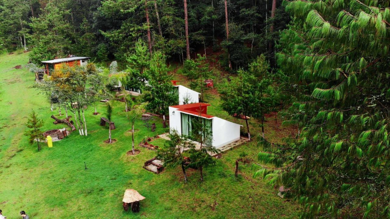 Romanticas Cabanas En Bosque Acaxochitlán Kültér fotó